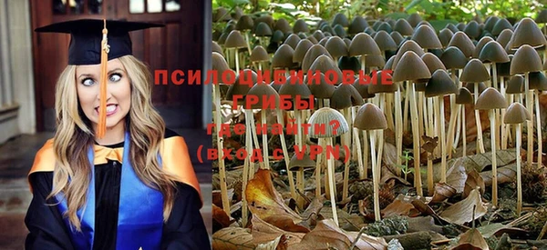 стаф Волосово
