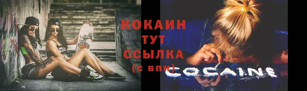 стаф Волосово