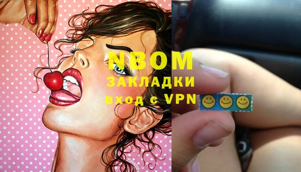 стаф Волосово