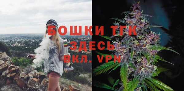 стаф Волосово